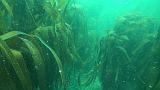 2011-06-15 16-58-55 UK_07